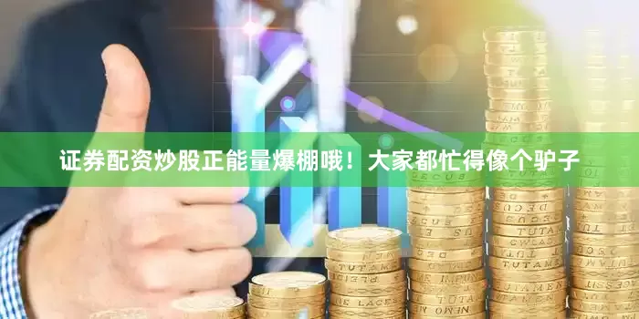 证券配资炒股正能量爆棚哦！大家都忙得像个驴子