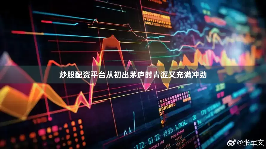 炒股配资平台从初出茅庐时青涩又充满冲劲