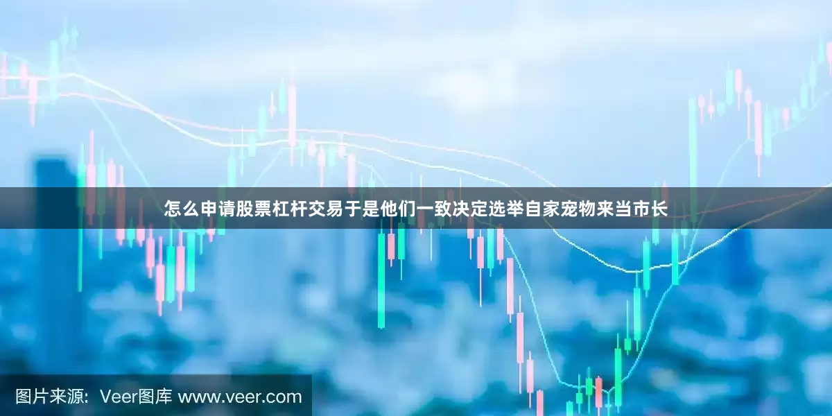 怎么申请股票杠杆交易于是他们一致决定选举自家宠物来当市长