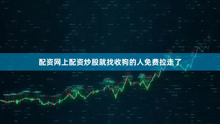 配资网上配资炒股就找收狗的人免费拉走了